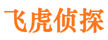 文登市侦探公司